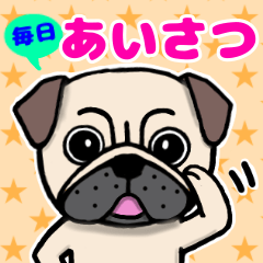 [LINEスタンプ] パグの大吉！あいさつスタンプ