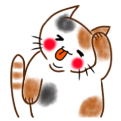 [LINEスタンプ] もちもちほっぺのねこ3（三毛猫）