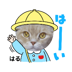 [LINEスタンプ] 有り難うの感謝ごめんなさいの謝罪簡単感嘆