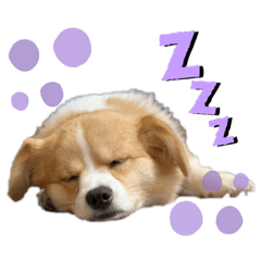 [LINEスタンプ] モコとハンナ