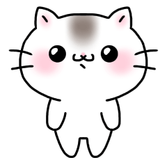 [LINEスタンプ] 日常で使いやすい白い猫のスタンプの画像（メイン）