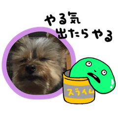 [LINEスタンプ] あかねとたつとかんかん