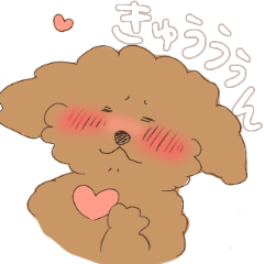 [LINEスタンプ] オーストラリアンラブラドゥードルこむぎ