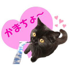 [LINEスタンプ] るなぴの日常スタンプ②