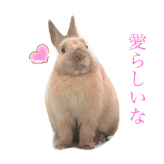 [LINEスタンプ] のんびりうーちゃん2