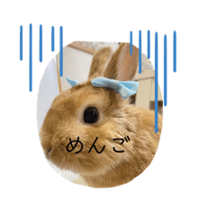 [LINEスタンプ] Coco2924