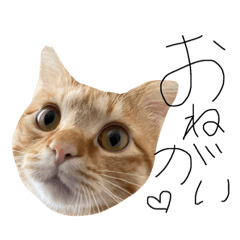 [LINEスタンプ] ちくわの日常 第4弾