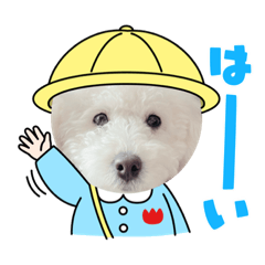 [LINEスタンプ] 愛犬なぎちゃんのスタンプ
