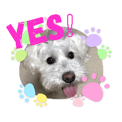 [LINEスタンプ] haruちゃんのお家