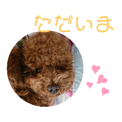 [LINEスタンプ] ティナのスタンプ16