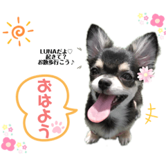 [LINEスタンプ] LUNA♡ちゃんスタンプ
