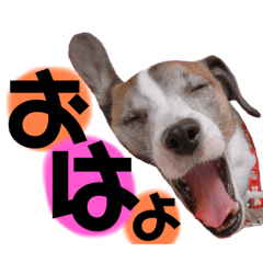 [LINEスタンプ] とむうゆ