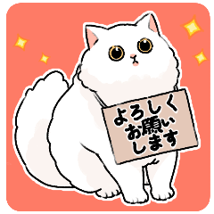 [LINEスタンプ] もふもふの白い猫