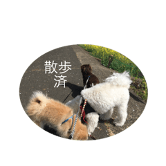 [LINEスタンプ] なんうまるむぎ