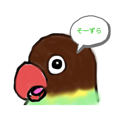 [LINEスタンプ] キエリクロボタンインコ長野弁おしゃべり