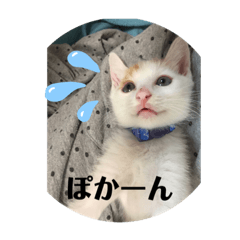 [LINEスタンプ] オマンプ1