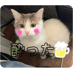 [LINEスタンプ] ぽんず日記2