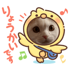 [LINEスタンプ] ROY RAW RUA