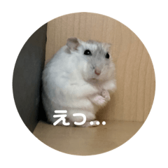 [LINEスタンプ] だ・い・ふ・く