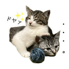 [LINEスタンプ] アルナハ1