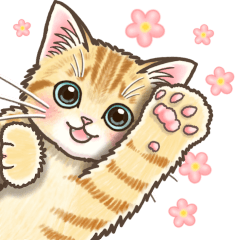[LINEスタンプ] やさしい子猫のポップアップ3.5【丁寧語】の画像（メイン）