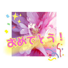 [LINEスタンプ] ありがとうと会いたい気持ちと待ち合わせ