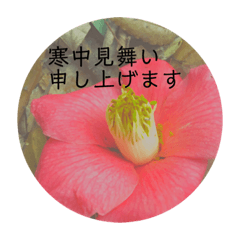 [LINEスタンプ] 言の葉 〜花鳥風月〜季節の挨拶 敬語