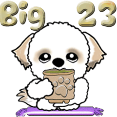 [LINEスタンプ] 【Big】シーズー犬23『これがあれば』