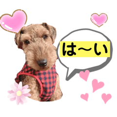 [LINEスタンプ] ウェルシュテリア ♡ ジェリーさんの1日②