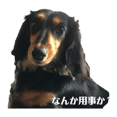 [LINEスタンプ] らら第2弾