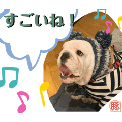 [LINEスタンプ] トン吉スタンプ イングリッシュブルドッグ