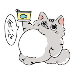 [LINEスタンプ] ねこ！まるい！ねこ！