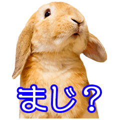 [LINEスタンプ] 耳たれうさぎのムーさん vol.2