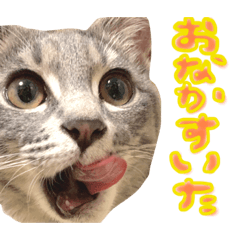 [LINEスタンプ] きゃわあんこ