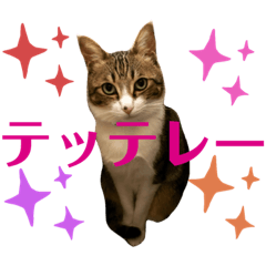 [LINEスタンプ] ごえもん日和11