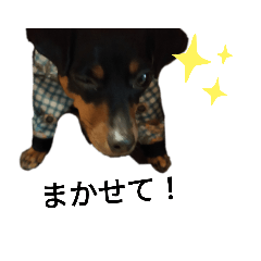 [LINEスタンプ] タレピン スタンプ