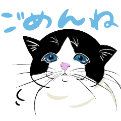 [LINEスタンプ] いろんな種類の猫たち 3