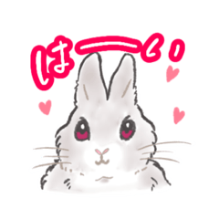 [LINEスタンプ] うさぎのうるちゃん