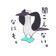 [LINEスタンプ] 鳥が日常に舞う！アオアシカツオドリ