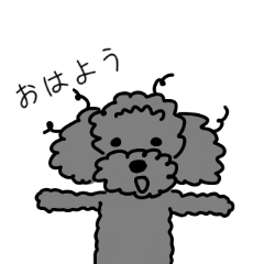 [LINEスタンプ] プードル 使える日常会話