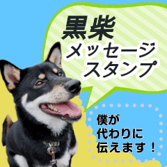 [LINEスタンプ] 黒柴JINがメッセージスタンプで伝えます①