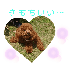 [LINEスタンプ] ティナのスタンプ17