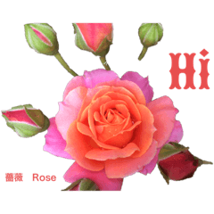 [LINEスタンプ] 薔薇好きpotスタンプ2