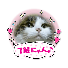[LINEスタンプ] ワンレンボブきらら嬢デコプラスG