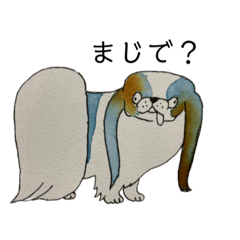 [LINEスタンプ] かもめのいぬねこスタンプ