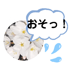 [LINEスタンプ] たけしのスタンプ その20