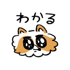 [LINEスタンプ] ゆかいなたぬき。