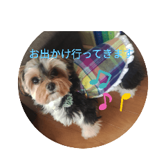 [LINEスタンプ] うちのアイドル❤ あんちゃん