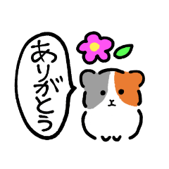 [LINEスタンプ] モルモットたちの使いやすいスタンプ