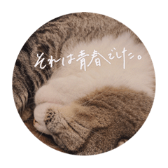 [LINEスタンプ] みやちびDX